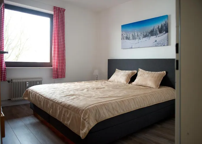Alpina Apartments In Winterberg